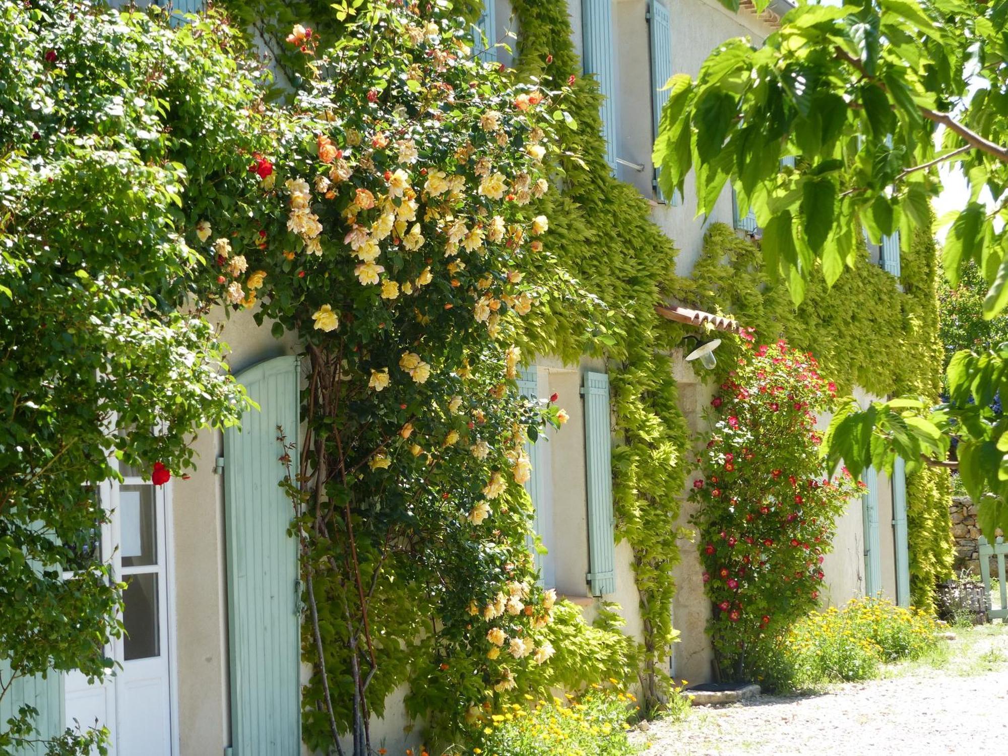 La Ferme Du Petit Segries Bed And Breakfast Moustiers-Sainte-Marie Kamer foto