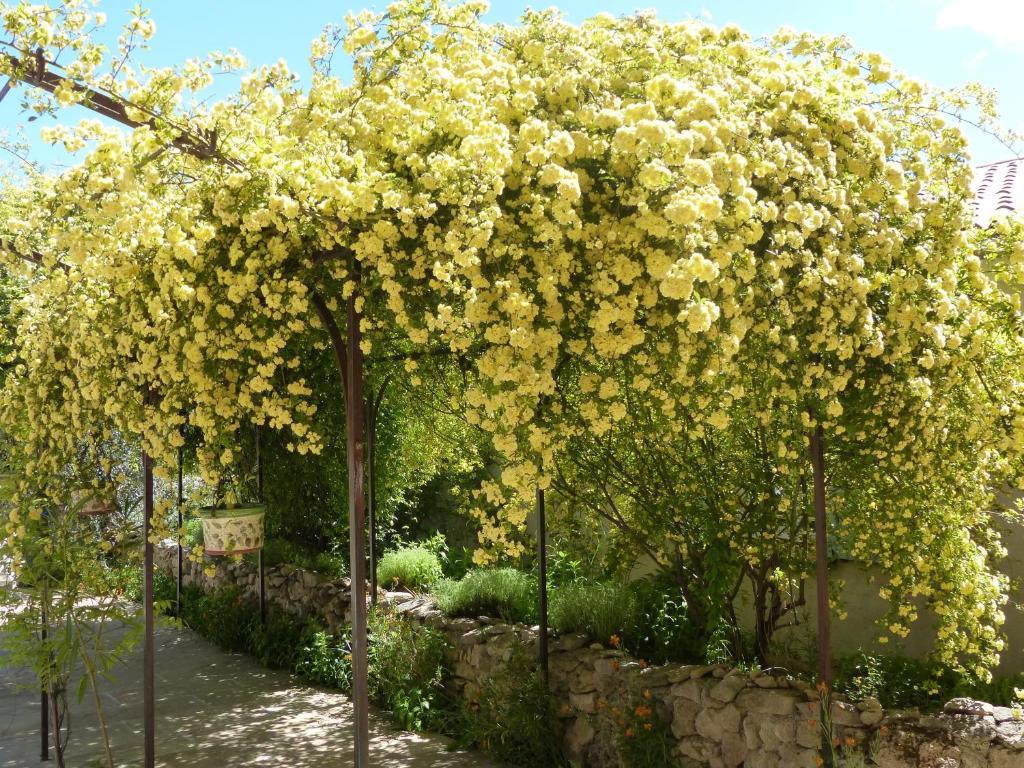 La Ferme Du Petit Segries Bed And Breakfast Moustiers-Sainte-Marie Buitenkant foto