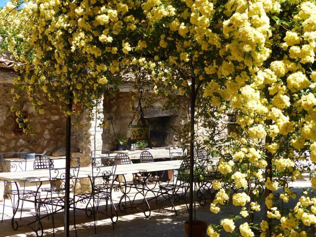 La Ferme Du Petit Segries Bed And Breakfast Moustiers-Sainte-Marie Buitenkant foto